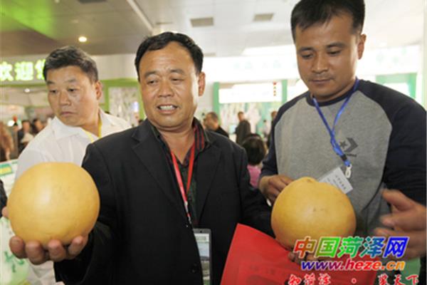 中国菏泽网