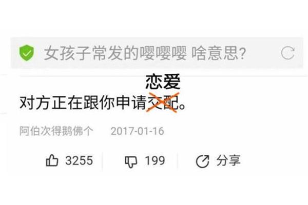 只可意会什么意思