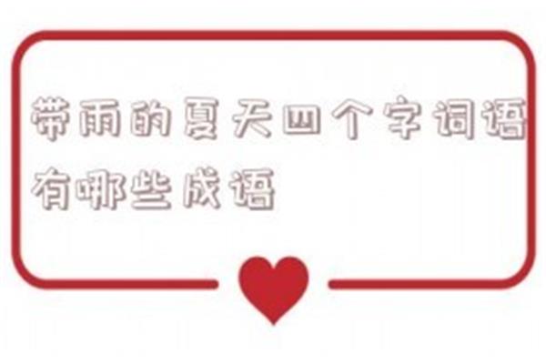 带雨字的成语大全