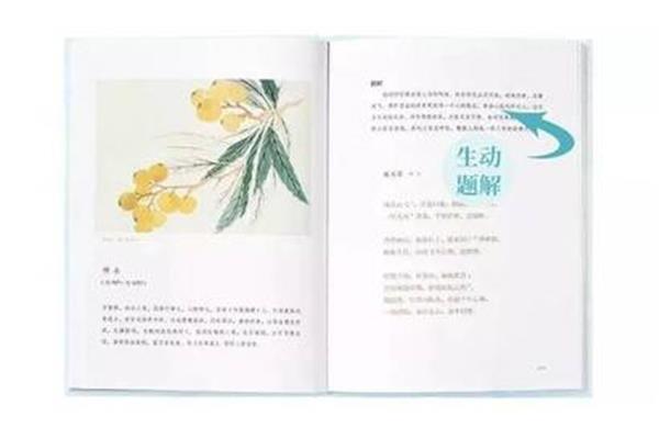 遇见最美的宋词