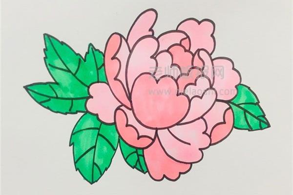 牡丹花图片简笔画