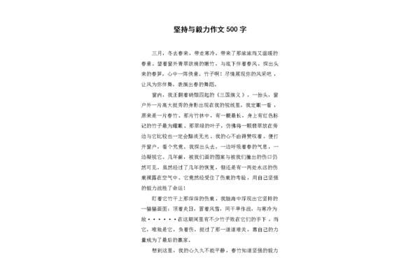 坚持作文500字