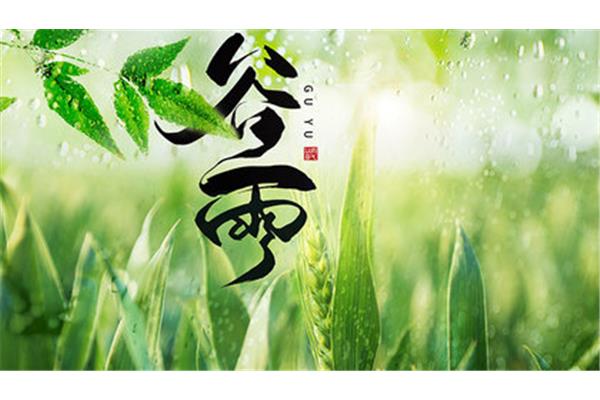 谷雨是几月几日