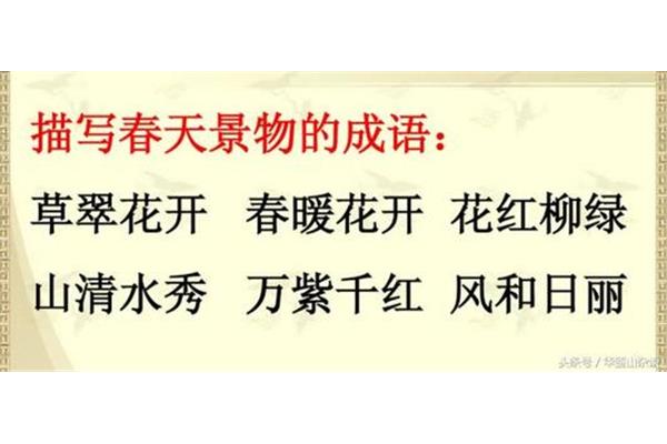 带草的成语