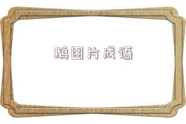 四什么四字成语