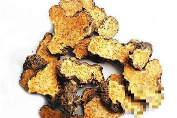 苍术的作用与功效