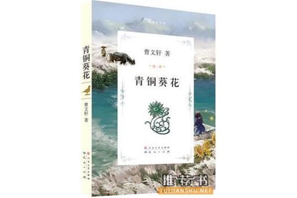 青铜葵花推荐理由