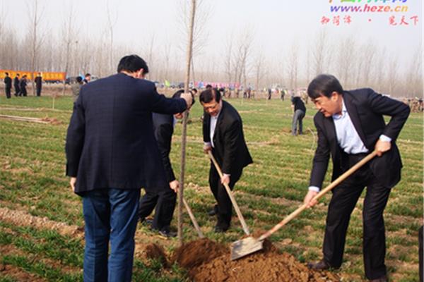 中国菏泽网