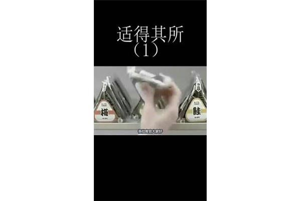适得其所什么意思