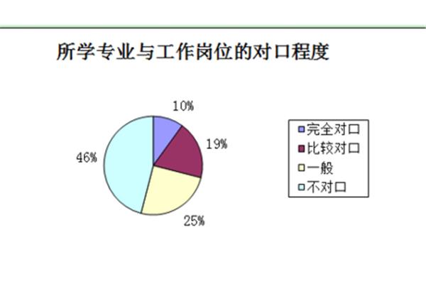 专业调查报告
