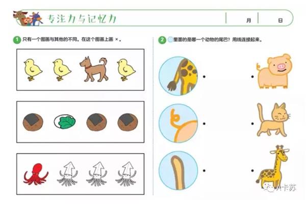 观察力训练