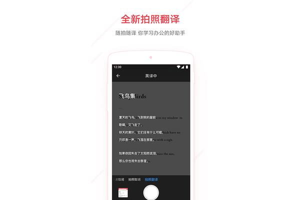 英译中翻译在线