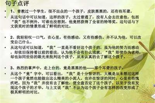 点评语句大全