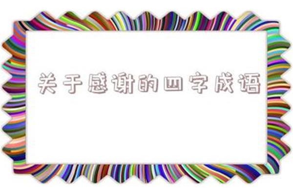 四什么四字成语