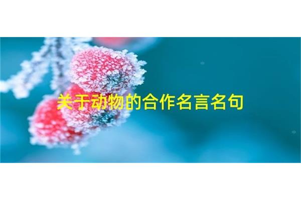 关于动物的名言