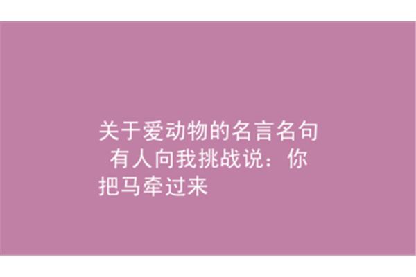 关于动物的名言