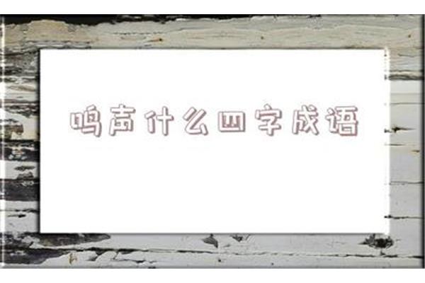 四什么四字成语