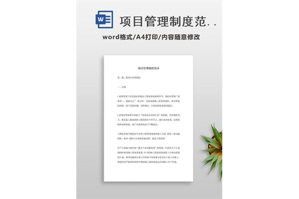 项目管理制度范本