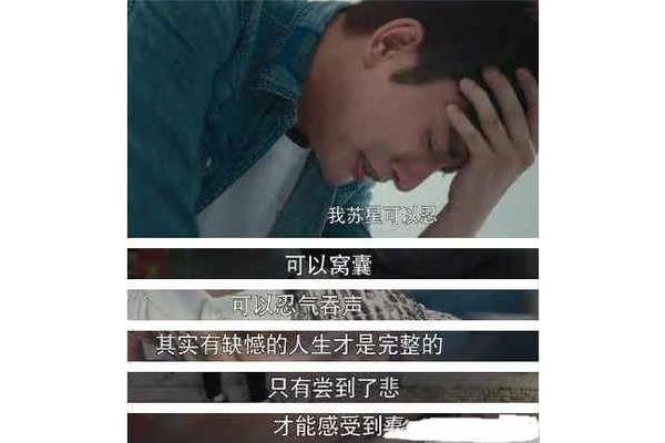 缺憾的意思