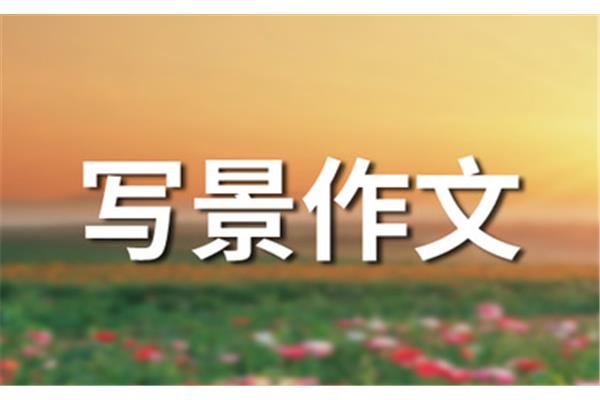 这里就是我的家
