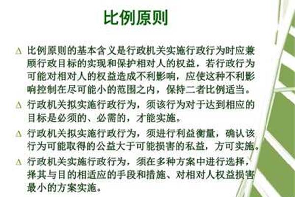 行政法原则