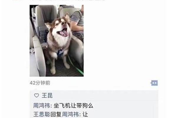 最原始的欲望阅读