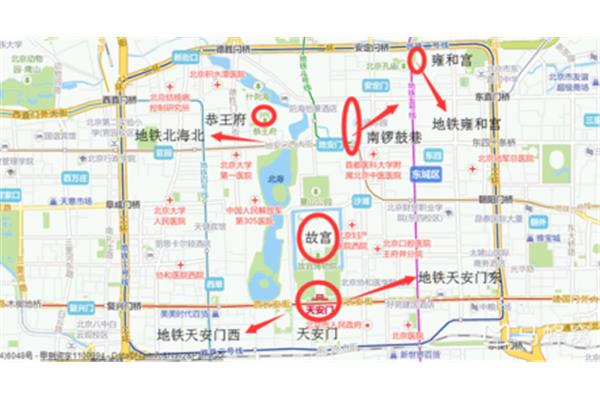 北京大学在哪个区