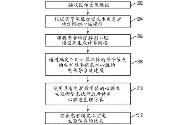 心的传导系统包括