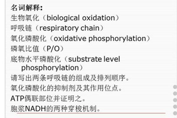 呼吸运动名词解释