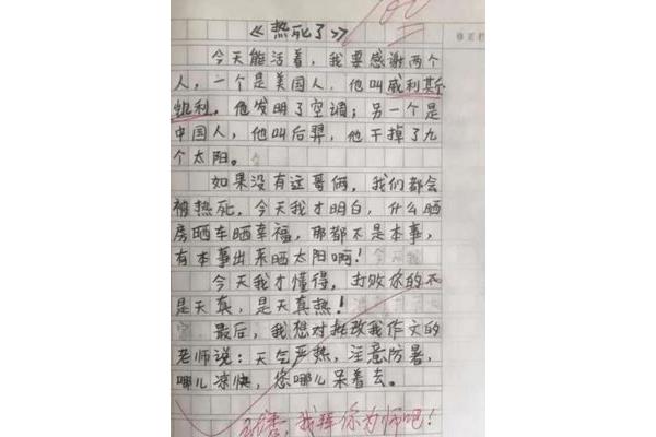我的爷爷奶奶作文