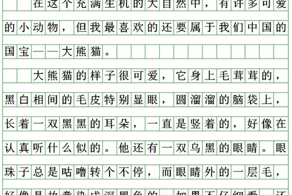 写熊猫的作文
