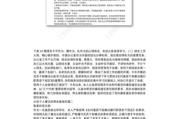 廉洁自律报告