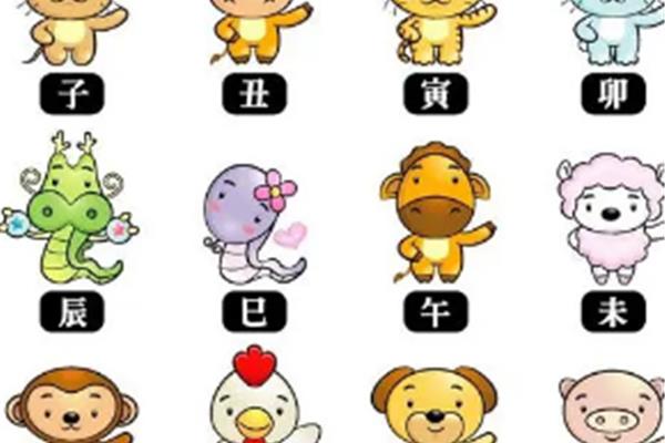 八仙过海打一肖