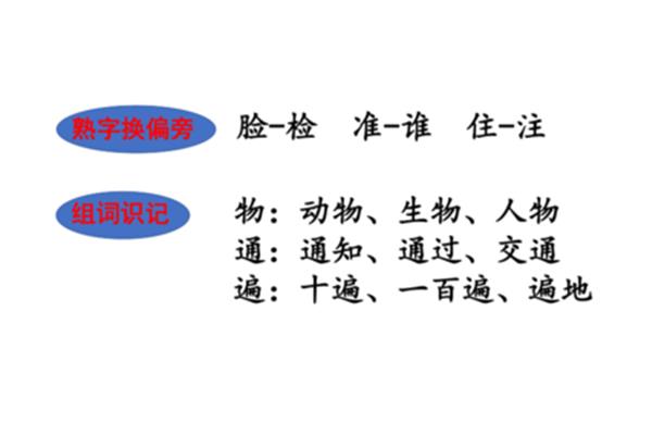 通过的通组词