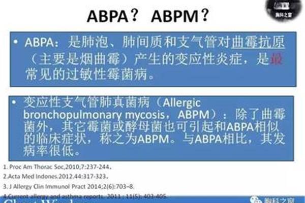 领导调研汇报材料