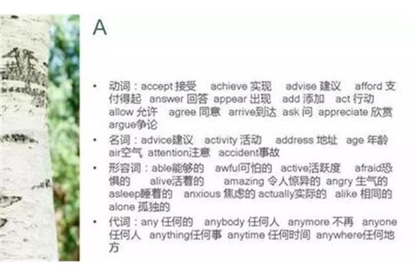 付得起的英文