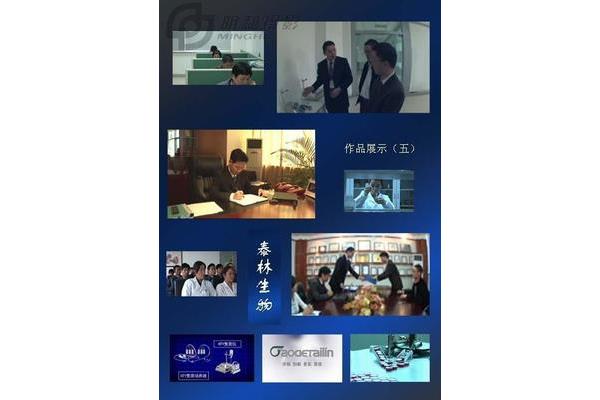 企业专题片制作