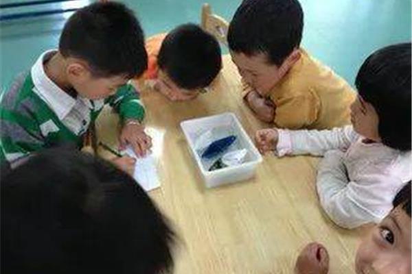幼儿科学小实验
