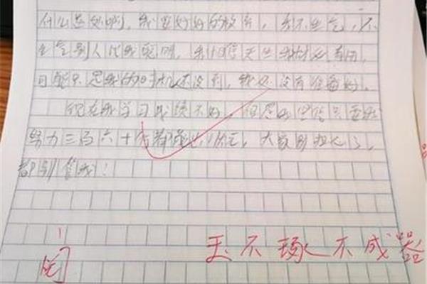 努力学习的作文