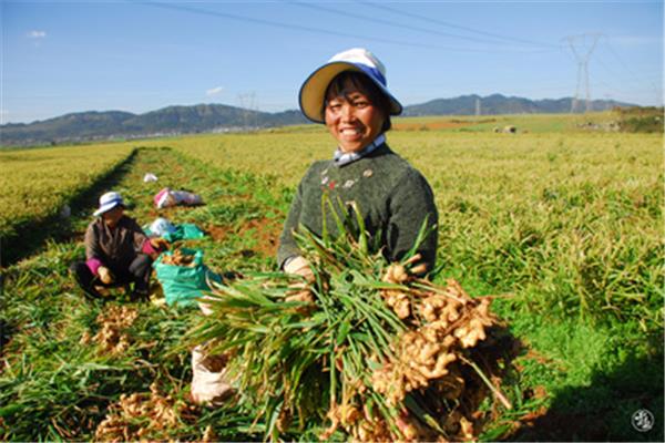 脱贫攻坚成果