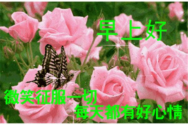 每天早晨的问候语