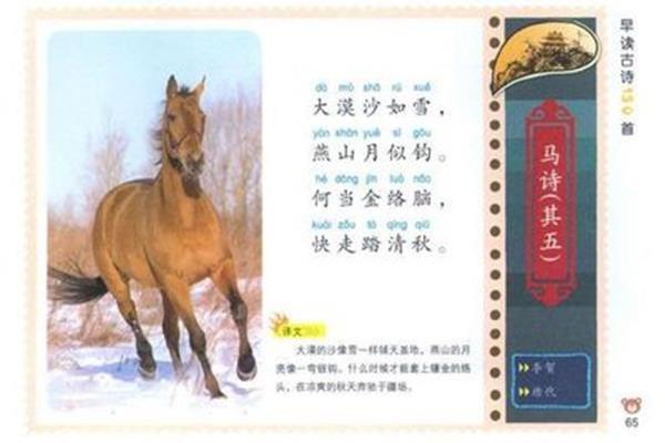 骏马的诗句