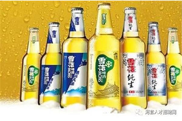 雪花啤酒招聘