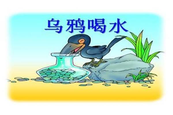 乌鸦喝水的图片