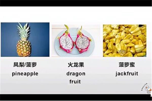 菠萝蜜英语