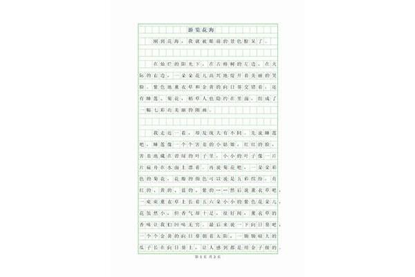 游览作文400字