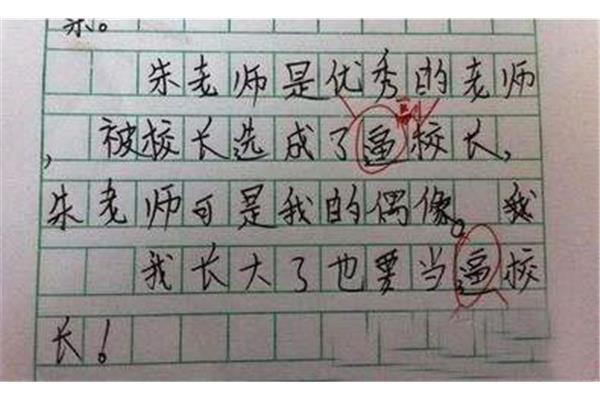 我的爷爷奶奶作文