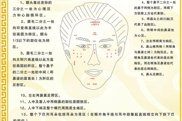 脸上穴位图