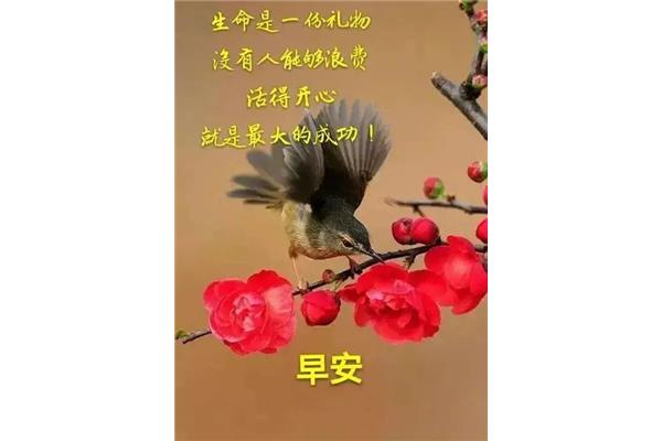 每天早晨的问候语