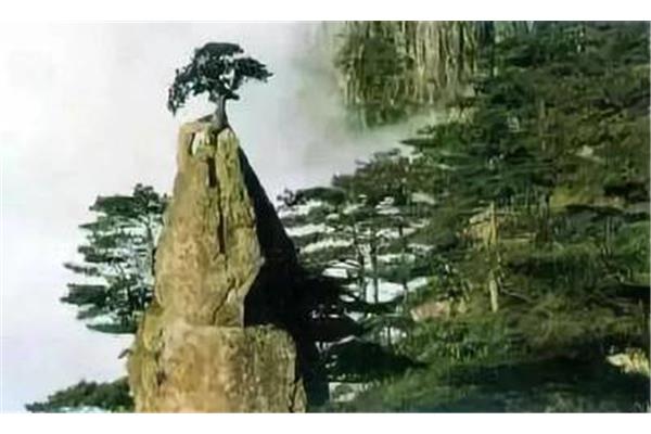 黄山四绝是哪四绝